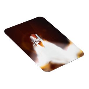 Illustration zum Start von Space Shuttle Magnet