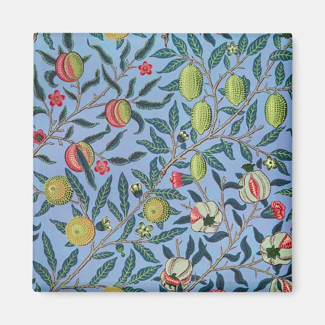 Illustration zum Vintagen Fruchtpomegranat Magnet (Vorne)