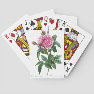 Illustration zur Rose Spielkarten