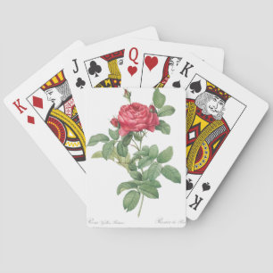 Illustration zur Rose Spielkarten