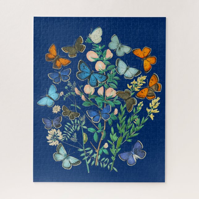 Illustration zur Vintagen Tierwelt - Schmetterling (Vertikal)