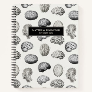 Illustrationen der alten Gehirn Anatomie Biologie Notizbuch