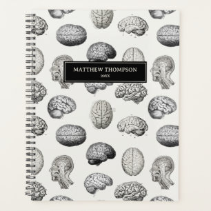 Illustrationen der Gehirn Anatomie Biologie im Ant Planer