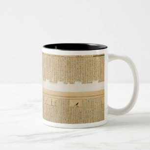 Illustrationen eines Pampus Manuskriptes mit Zweifarbige Tasse