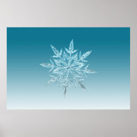 Illustrationen Schneeflocken Eiskristall Wintersch