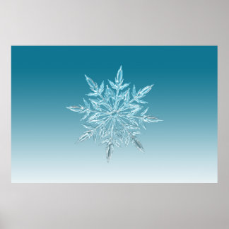 Illustrationen Schneeflocken Eiskristall Wintersch Poster