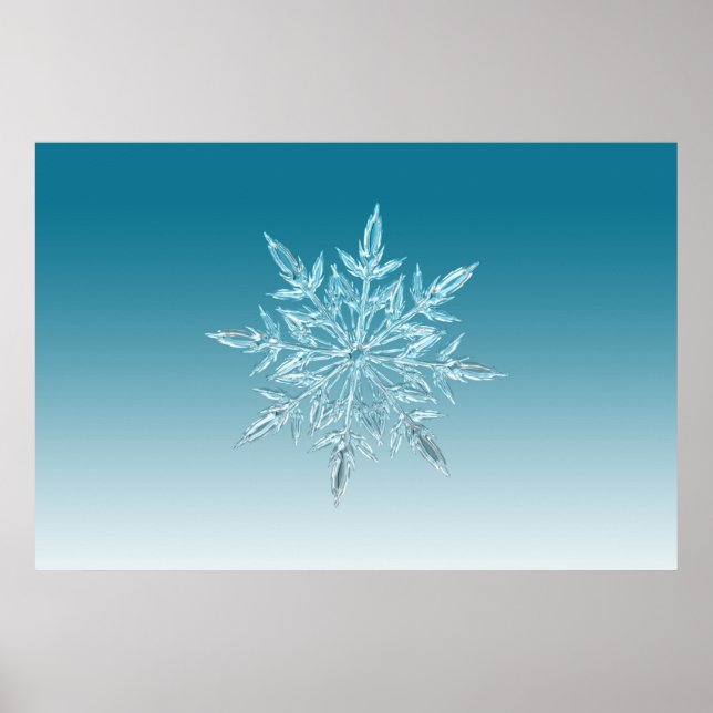 Illustrationen Schneeflocken Eiskristall Wintersch Poster (Vorne)