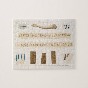 Illustrationen von Hieroglyphen und der Arm von