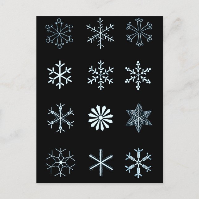 Illustrationen von Schneeflocken (schwarz) Postkarte (Vorderseite)