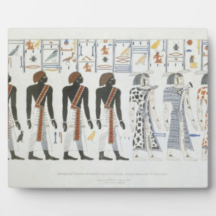Illustrationen von Schriftzeichen aus den Gräbern  Fotoplatte