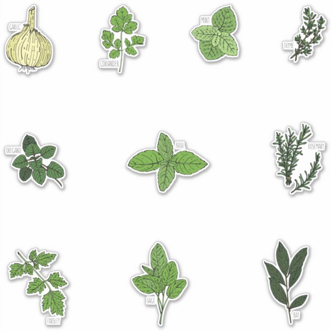 Illustrationen zur botanischen Küche Aufkleber (Vorderseite)