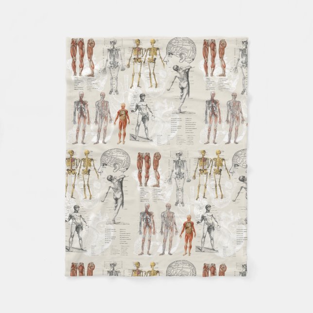 Illustrationen zur Vintagen Anatomie Fleecedecke (Vorderseite)