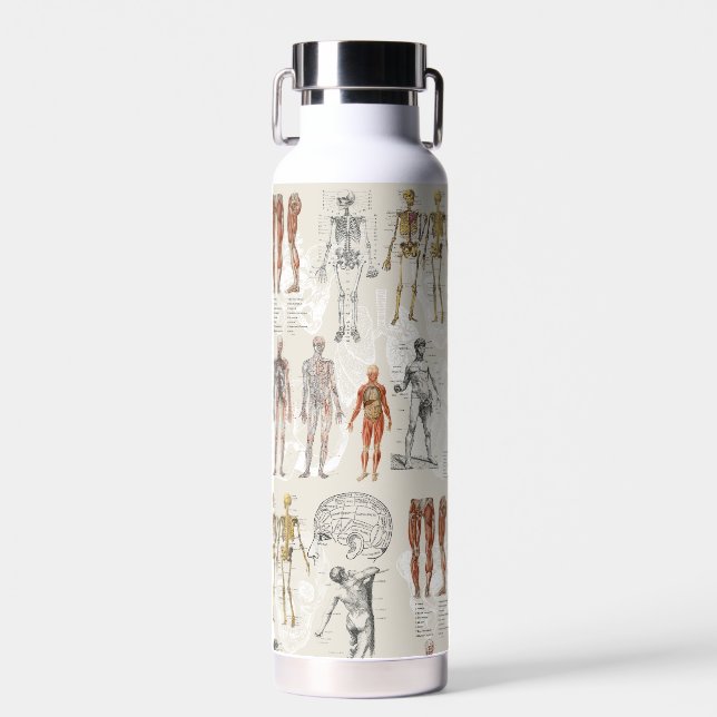 Illustrationen zur Vintagen Anatomie Trinkflasche (Vorne)