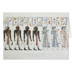Illustrations des hiéroglyphes des tombes de t