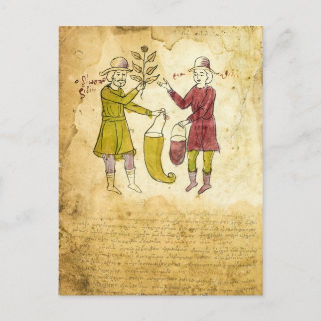Illustrationskarte für mittelalterliche Kräuterhan Postkarte (Vorderseite)