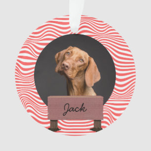 Illustrationspublikum Custom Dog Foto Ornament
