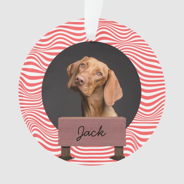Illustrationspublikum Custom Dog Foto Ornament (Vorderseite)