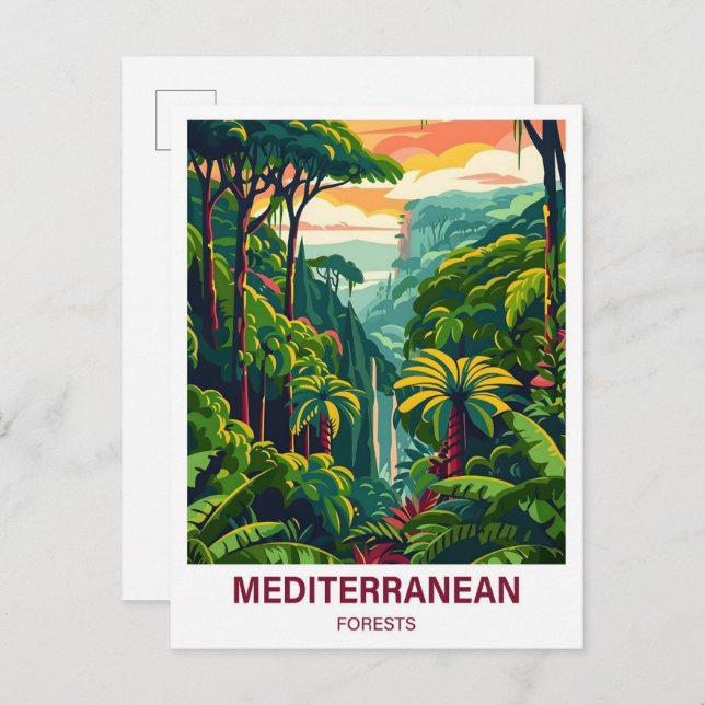 Illustrationsreise zum mediterranen Wald Postkarte (Vorne/Hinten)