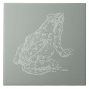 Illustriert Frog CUSTOM FARBEITER Kunst Fliese