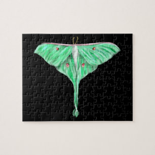 Illustriert Green Lunar Moth