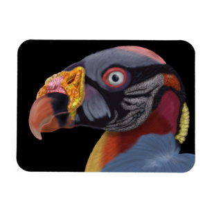 Illustriert King Vulture Magnet