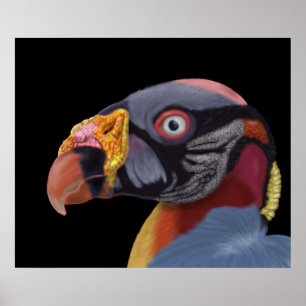 Illustriert King Vulture Poster