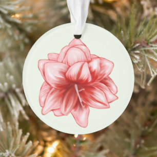 Illustriert-rosa-weiße Amaryllis Ornament