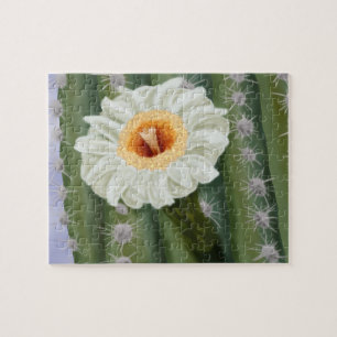 Illustriert Saguaro Cactus White Blume