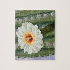 Illustriert Saguaro Cactus White Blume
