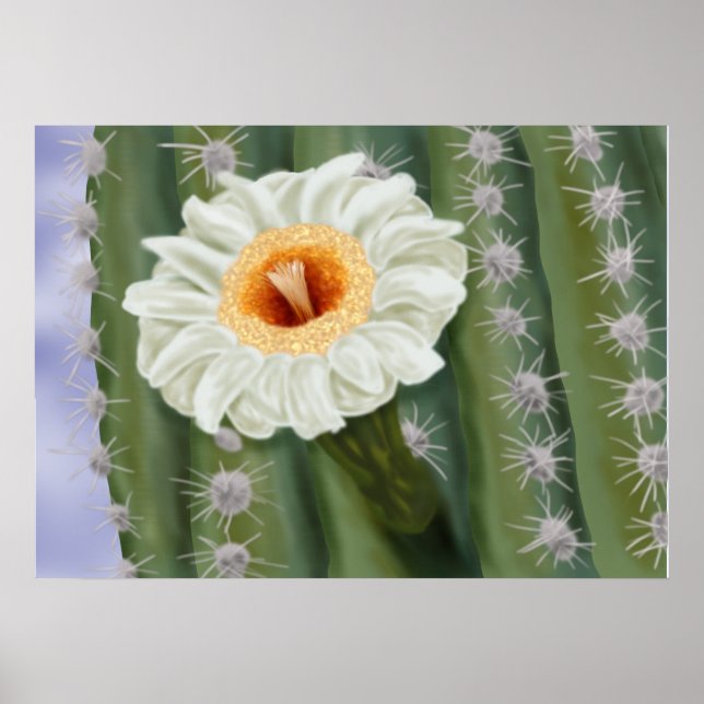 Illustriert Saguaro Cactus White Blume Poster (Vorne)