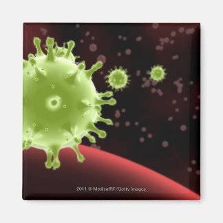 Illustrierte Darstellung des SARS-Coronavirus Magnet