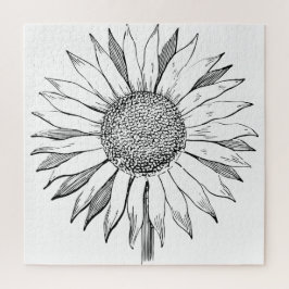 Illustrierte Sonnenblume
