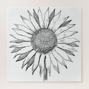 Illustrierte Sonnenblume
