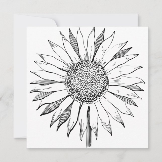 Illustrierte Sonnenblume Karte (Vorderseite)