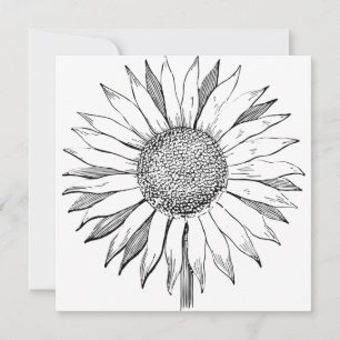 Illustrierte Sonnenblume Karte