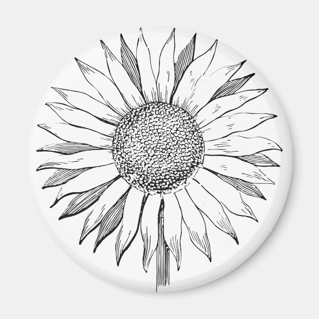 Illustrierte Sonnenblume Magnet (Vorne)