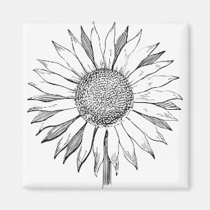 Illustrierte Sonnenblume Magnet