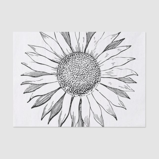 Illustrierte Sonnenblume Seidenpapier (Vorderseite)