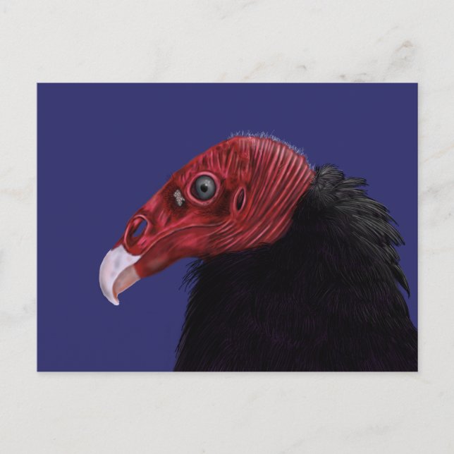 Illustrierter Türkischer Vulture-Zwei-Ton Postkarte (Vorderseite)