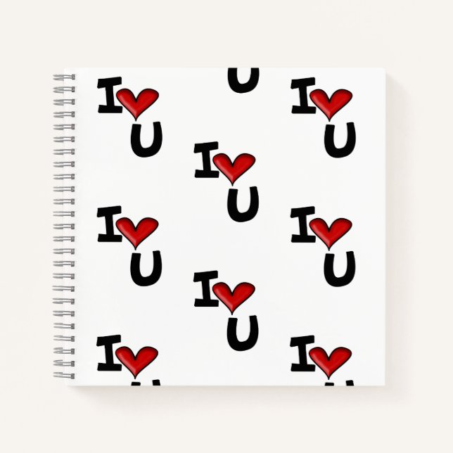 Ilovu Notizbuch (Vorderseite)