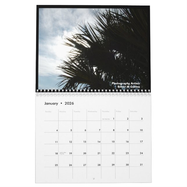 IM000977, Landschaften Edisto Insel-, South Kalender (Jan 2026)