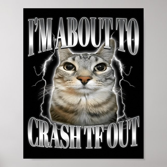 I'm About To Crash Out Funny Staring Cat Brainrot  Poster (Vorne)