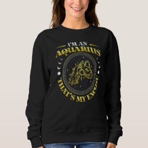 Im Aquarius, das meine Entschuldigung Zodiac-Schil Sweatshirt