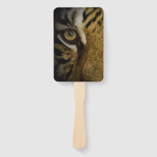 Im Auge eines Tigers Fächer