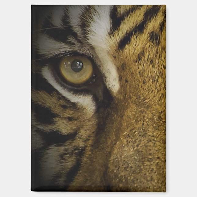 Im Auge eines Tigers Magnet (Vorderseite)