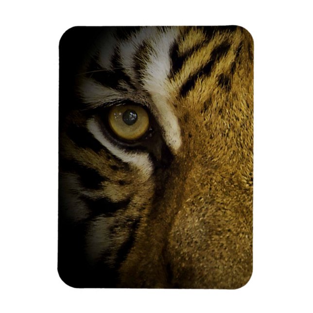 Im Auge eines Tigers Magnet (Vertikal)