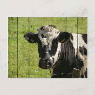 IM BEREICH... POSTKARTE