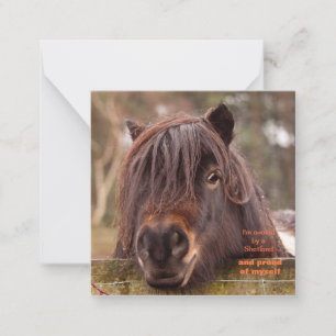 Im Besitz einer Shetland-Karte Mitteilungskarte