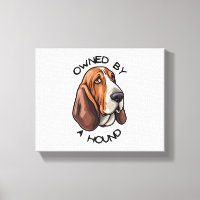Im Besitz eines Basset Hound