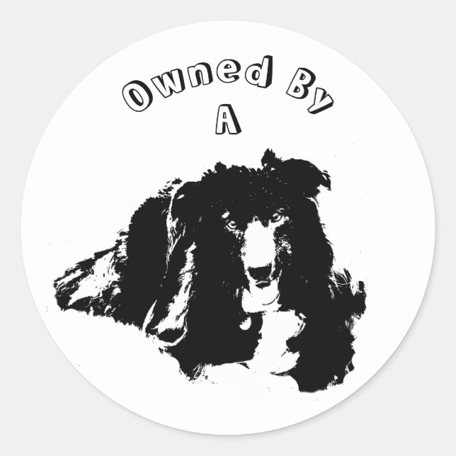 Im Besitz eines Niedlichen Hundes an der Grenze Runder Aufkleber (Vorderseite)